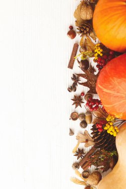 Şükran Günü 'n kutlu olsun, tebrik kartı düzlüğün kutlu olsun. Balkabakları, anason, tarçın, meşe palamudu, fındık ve sonbahar yaprakları beyaz ahşap üzerinde. Sonbahar mevsimsel maketi