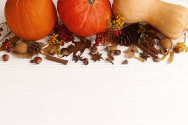 Balkabakları, anason, tarçın, meşe palamudu, fındık ve sonbahar yaprakları beyaz ahşap, düz. Mutlu Şükran Günü tebrik kartları ve mesaj için yer. Sonbahar sezonluk maketi