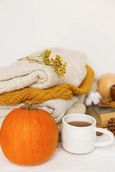 Warm Tea Pumpkins Spices Background Cozy Knitted Sweaters Autumn Leaves — Stock Photo, Image