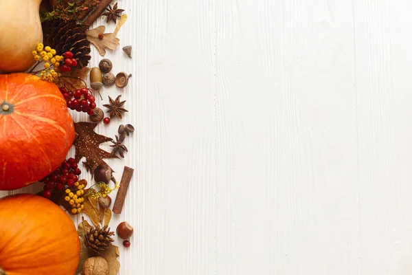 白い木の上にカボチャ アニス シナモン アコーン ナッツと秋の葉 フラットレイアウト テキスト用スペース付きハッピー感謝祭グリーティングカード 秋の季節のモックアップ — ストック写真