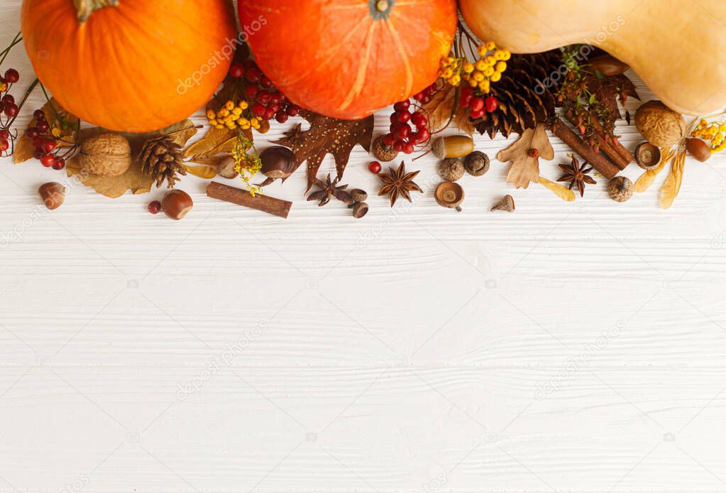 Autumn flat lay. Pumpkins, anise, cinnamon, acorn, nuts and autumn leaves on white wood. Autumnal seasonal greeting card, space for text. Happy Thanksgiving concept