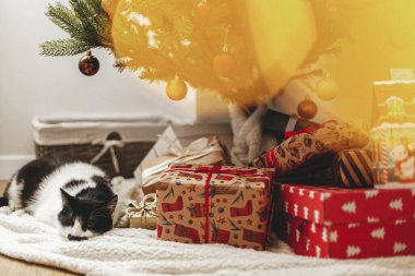 Yumuşak bir battaniyenin üzerinde uyuyan sevimli bir kedi. Noel ağacının altında kırmızı, altın takılar ve şenlikli ışıklarla birlikte hediye kutuları. Şirin siyah beyaz tüylü kedicik festival odasında dinleniyor. İyi tatiller.!