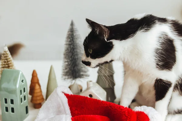 Gato Bonito Sentado Chapéu Papai Noel Decorações Modernas Natal Pequenas — Fotografia de Stock