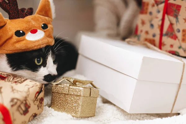 Šťastné Svátky Rozkošná Kočka Sobím Kostýmu Ležící Stylových Dárkových Krabicích — Stock fotografie