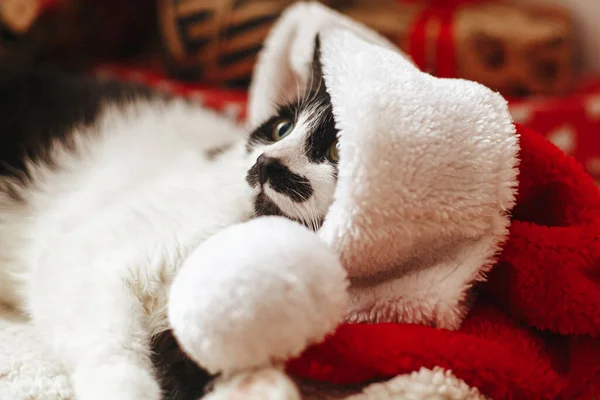 Καλά Χριστούγεννα Αξιολάτρευτη Γάτα Καπέλο Σάντα Και Αστεία Συναισθήματα Που — Φωτογραφία Αρχείου
