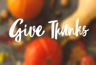 Bulanık sonbahar balkabakları, yapraklar, elmalar, anason ve kara tahtada çiçekler üzerine yazılmış bir teşekkür mesajı ver. Mevsimler selamlar. Şükran Günü tebrik kartın kutlu olsun.