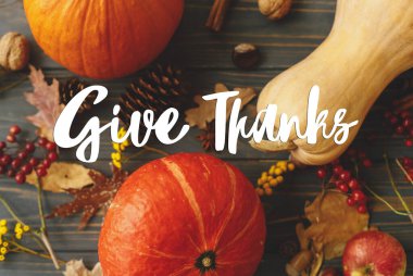 Balkabakları, sonbahar yaprakları, elmalar, anason, kozalaklar, meşe palamutları ve kara tahtada çiçekler üzerine yazılmış teşekkür metinleri ver. Şükran Günü tebrik kartın kutlu olsun. Mevsimler selamlar