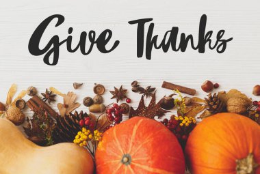 Şükran Günü tebrik kartın kutlu olsun. Balkabakları, anason, tarçın, meşe palamudu, fındık ve sonbahar yaprakları üzerine el yazısı yaz. Mevsimler selamlar