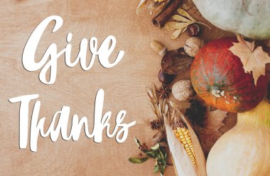 Balkabakları, sonbahar yaprakları, fındıklar ve baharatlar hakkında teşekkür mesajı yaz. Mevsimler selamlar. Şükran Günü tebrik kartın kutlu olsun.