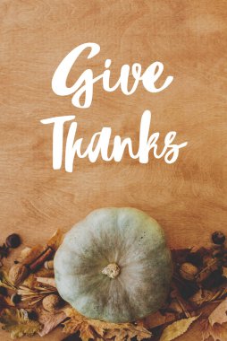 Balkabakları, sonbahar yaprakları, fındıklar ve baharatlar hakkında teşekkür mesajı yaz. Mevsimler selamlar. Şükran Günü tebrik kartın kutlu olsun.