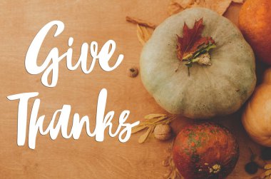 Balkabaklarıyla ilgili teşekkür mesajı yaz. Kırsal düzlükteki sonbahar yaprakları. Şükran Günü tebrik kartın kutlu olsun. Mevsimler selamlar