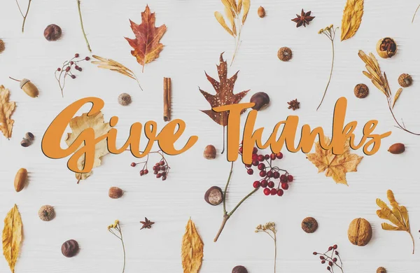 Boldog Hálaadási Üdvözlőlapot Adj Köszönet Szöveget Kézzel Írt Őszi Levelek — Stock Fotó