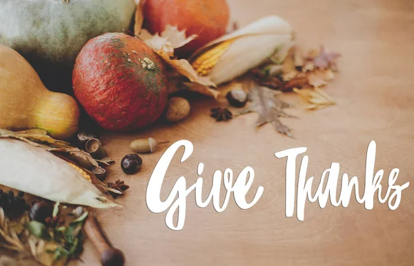 Give Thanks Text Sign Pumpkins Autumn Leaves Nuts Spices Rustic — Stock Photo, Image