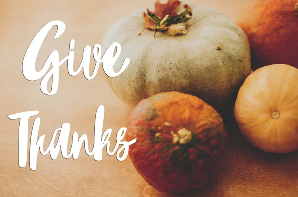 Şükran Günü tebrik kartın kutlu olsun. Balkabaklarına el yazısıyla teşekkür mesajı at, sonbahar yaprakları kırsal ağaçlara. Mevsimler selamlar