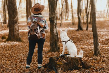 Güneşli sonbahar ormanlarında güzel beyaz köpekle sırt çantasıyla yürüyüş yapan şık bir kadın. Şirin İsviçreli çoban köpeği ve sonbahar ormanlarında seyahat eden dişi köpek sahibi. Metin için boşluk