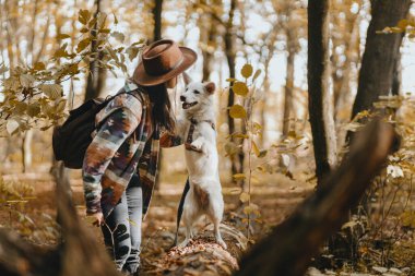 Güneşli sonbahar ormanlarında sevimli beyaz köpekleri eğiten şık bir kadın. Şirin İsviçreli çoban köpeği yavrusu muamelesiyle öğreniyor. Sonbahar ormanında sırt çantalı hippi bir kadın köpeğiyle oynuyor. Metin için boşluk