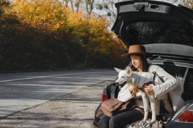 Güneşli sonbahar ağaçlarının arka planında beyaz sevimli bir köpekle oturan şık genç bir kadın. Evcil hayvanla yolculuk. İsviçreli çoban köpeğiyle seyahat ediyor. Metin için boşluk