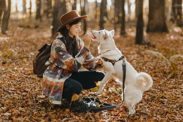 Стильна Жінка Тренує Чарівного Білого Собаку Сонячних Осінніх Лісах Мила — стокове фото