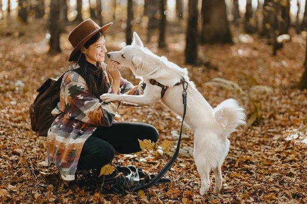 Stilvolle Frau Trainiert Entzückende Weiße Hündin Pfote Sonnigen Herbstwäldern Geben — Stockfoto