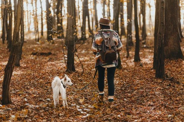 Stilvolle Frau Mit Rucksack Wandert Mit Entzückendem Weißen Hund Durch — Stockfoto
