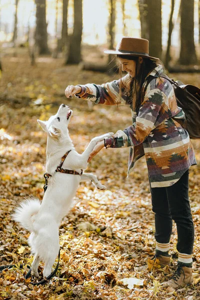 Stijlvolle Vrouw Die Schattige Witte Hond Traint Zonnige Herfstbossen Springen — Stockfoto