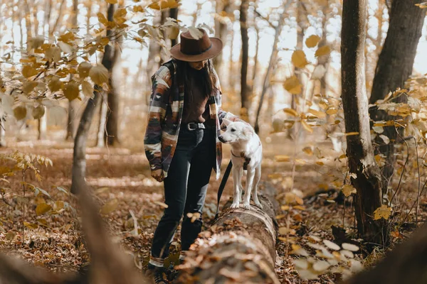 Stilvolle Frau Trainiert Entzückenden Weißen Hund Sonnigen Herbstwäldern Niedliche Schweizer — Stockfoto