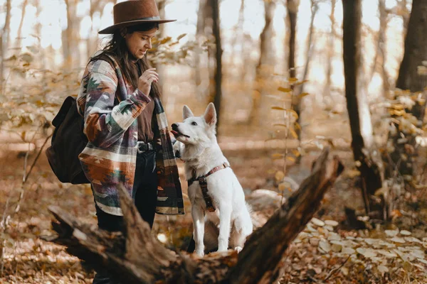 Stilvolle Frau Trainiert Entzückenden Weißen Hund Sonnigen Herbstwäldern Niedliche Schweizer — Stockfoto