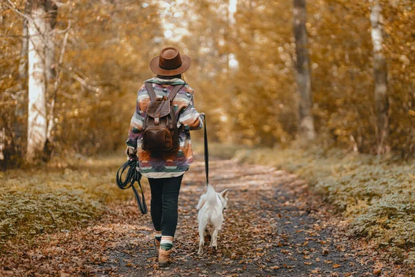 Stilvolle Frau Mit Rucksack Wandert Mit Entzückendem Weißen Hund Durch — Stockfoto