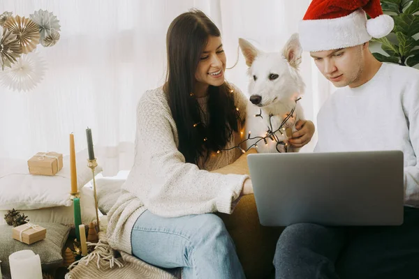 Stílusos Pár Aranyos Fehér Kutya Fények Mikulás Kalap Ünnepli Karácsonyi — Stock Fotó