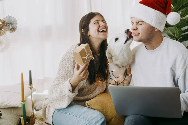 Sevimli Köpek Yavrusu Işıklı Şık Bir Çift Hediyeli Noel Baba — Stok fotoğraf