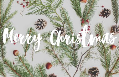 Noel 'de beyaz ahşap üzerinde köknar dalları, kırmızı böğürtlenler ve çam kozalakları üzerine yazılmış mutlu noel metinleri, minimalist düzlük. Tebrik kartı, modern mevsimler selamları. İyi tatiller.