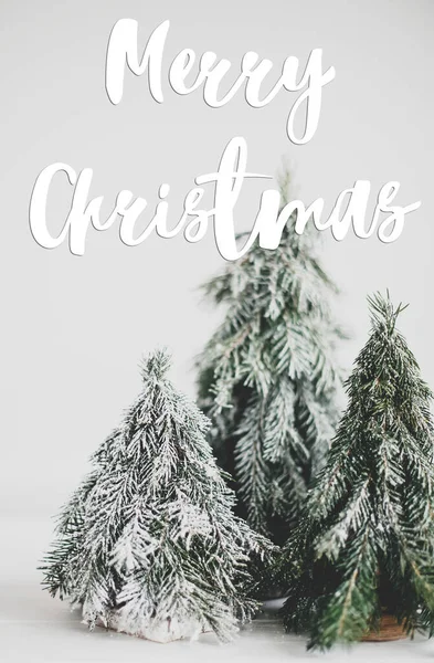 Καλά Χριστούγεννα Κείμενο Χειρόγραφο Για Χριστούγεννα Λίγο Χιονισμένα Δέντρα Λευκό — Φωτογραφία Αρχείου