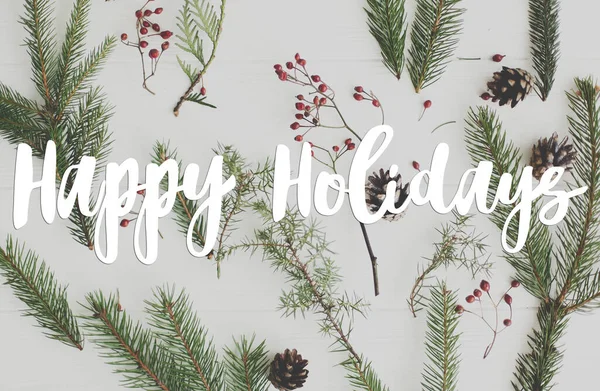 ハッピーホリデーグリーティングカード クリスマスモミの枝 赤い果実 白い木の松のコーンに手書きの幸せな休日のテキストは ミニマルフラットレイアウト 現代の季節の挨拶 — ストック写真