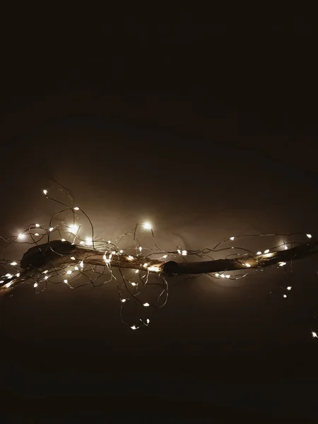 크리스마스 조명등 어두운 가지들 창조적 심미적 이브에 이미지 — 스톡 사진