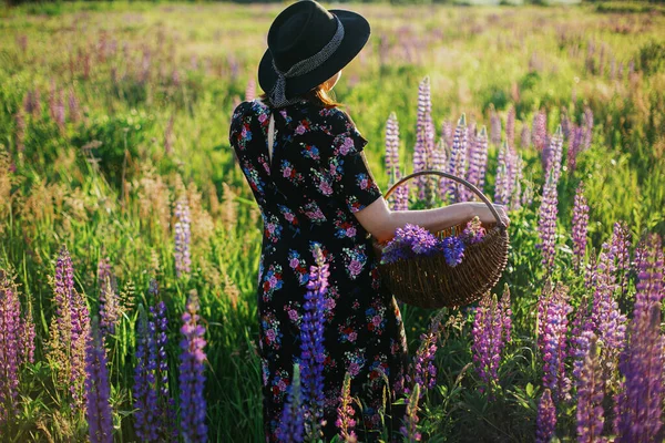 Красивая Стильная Женщина Собирает Люпин Плетеной Деревенской Корзине Солнечном Поле — стоковое фото