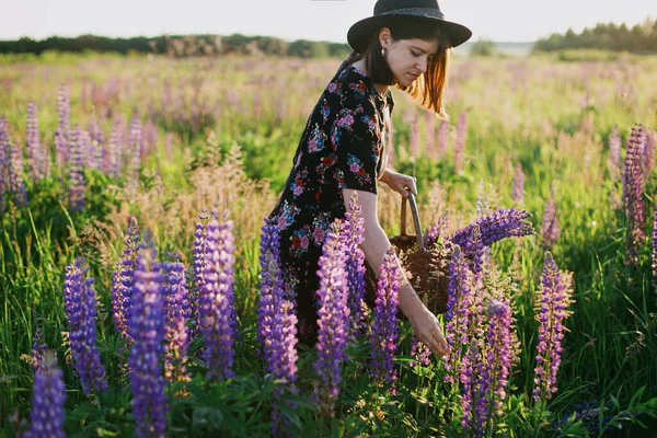 Belle Femme Élégante Rassemblant Lupin Dans Panier Rustique Osier Dans — Photo