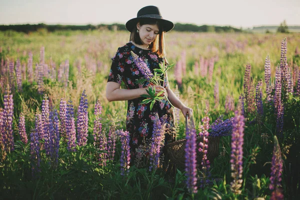 Beautiful Stylish Woman Gathering Lupine Wicker Rustic Basket Sunny Field — Stock Photo, Image