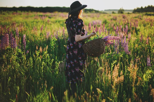 Красивая Стильная Женщина Собирает Люпин Плетеной Деревенской Корзине Солнечном Поле — стоковое фото