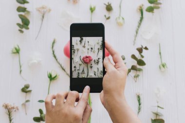 Blog yazma ve sosyal medya içeriği kavramı oluşturma. El ele tutuşup şık bahar çiçeklerinin resmini çekiyorlar. Beyaz ahşap üzerinde akıllı telefon ve şakayık, güller ve okaliptüs çiçekleri
