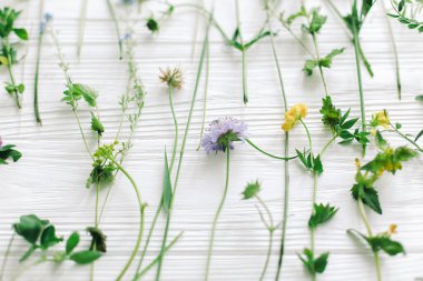 Merhaba Spring! Güzel kır çiçekleri ve çiçek desenli beyaz ahşap üzerinde çiçek açan yapraklar. Çiçekli tebrik kartı ve yeşil eko konsepti