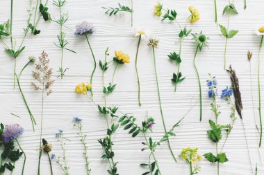 Bahar çiçekleri düzdü. Güzel kır çiçekleri ve çiçek desenli beyaz ahşap üzerinde çiçek açan yapraklar. Merhaba bahar ve yeşil eko konsepti