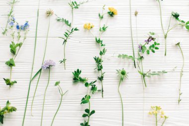 Bahar çiçekleri düzdü. Güzel kır çiçekleri ve çiçek desenli beyaz ahşap üzerinde çiçek açan yapraklar. Merhaba bahar ve yeşil eko konsepti