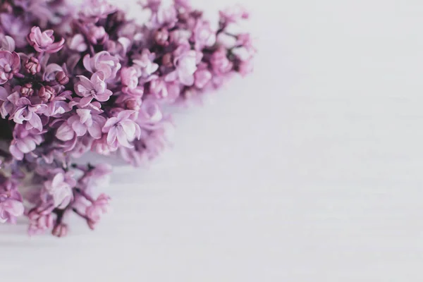 Ніжні Бузкові Квіти Крупним Планом Білому Дерев Яному Тлі Якому — стокове фото