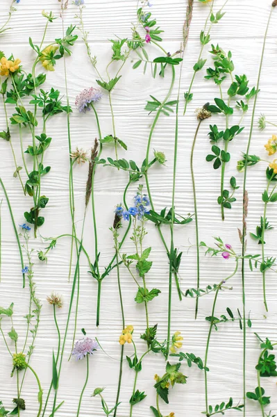 Полягали Весняні Квіти Прекрасні Стебла Диких Квітів Квітучі Пелюстки Білому — стокове фото