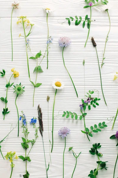 Spring Flowers Flat Lay Beautiful Wildflowers Stems Blooming Petals Composition — Stock Photo, Image