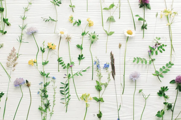Spring Flowers Flat Lay Beautiful Wildflowers Stems Blooming Petals Composition — Stock Photo, Image