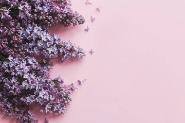 Şık bir bahar yatağı. Pembe kağıtta leylak çiçekleri, mesaj için yeri olan çiçek kartları. Anneler günün ve kadınlar günü konseptin kutlu olsun. Mor eflatun kenar, güzel görüntü.