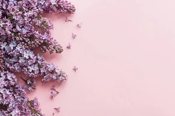 Квіти Бузку Рожевому Папері Квіткова Вітальна Листівка Місцем Тексту Щасливий — стокове фото