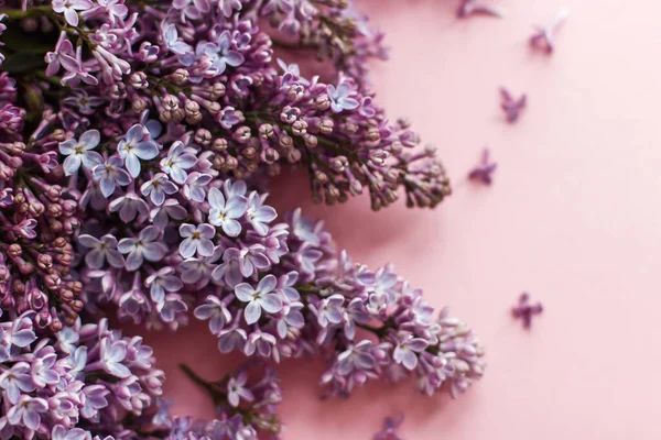 Lilac Bloemen Roze Papier Hallo Lente Zachte Bloemen Wenskaart Paarse — Stockfoto