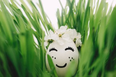 Mutlu Paskalyalar ve Paskalya Avları konsepti! Paskalya yumurtası çiçek çelenginde uyuyan yüz ile yeşil çimenlikte yumuşak ışıkta. Mesaj için yer var. Çevre dostu sıfır atık tatili